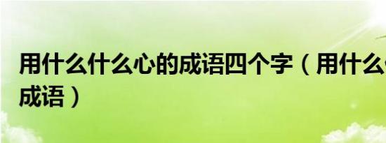 用什么什么心的成语四个字（用什么什么心的成语）