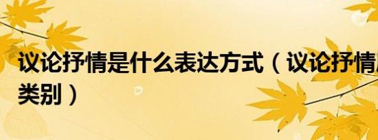 议论抒情是什么表达方式（议论抒情属于什么类别）