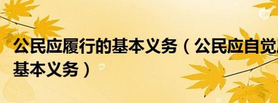 公民应履行的基本义务（公民应自觉履行那项基本义务）