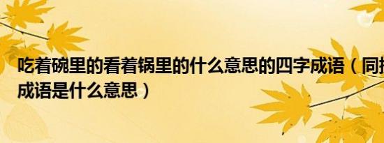 吃着碗里的看着锅里的什么意思的四字成语（同提并论这个成语是什么意思）