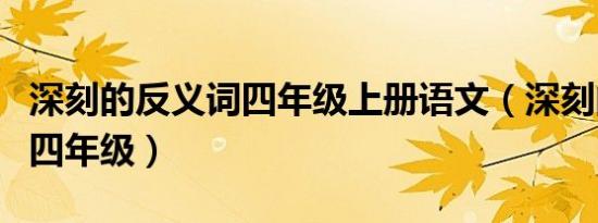 深刻的反义词四年级上册语文（深刻的反义词四年级）