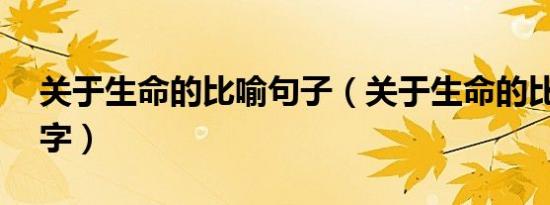 关于生命的比喻句子（关于生命的比喻句50字）