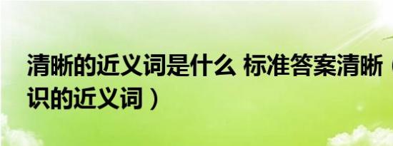 清晰的近义词是什么 标准答案清晰（清晰认识的近义词）