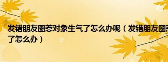 发错朋友圈惹对象生气了怎么办呢（发错朋友圈惹对象生气了怎么办）