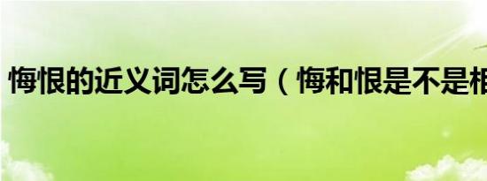 悔恨的近义词怎么写（悔和恨是不是相近词）