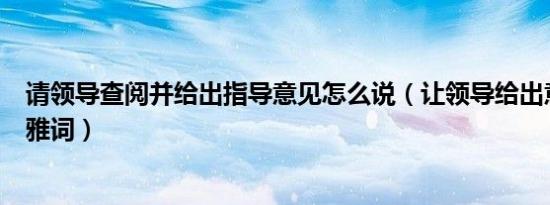 请领导查阅并给出指导意见怎么说（让领导给出意见建议的雅词）