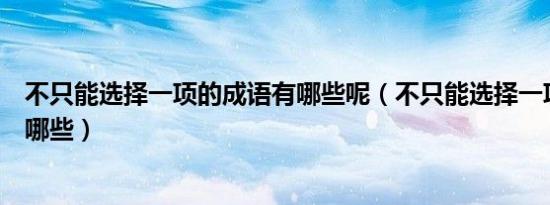 不只能选择一项的成语有哪些呢（不只能选择一项的成语有哪些）