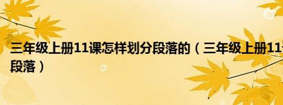 三年级上册11课怎样划分段落的（三年级上册11课怎样划分段落）