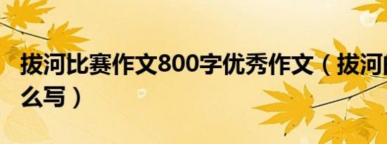 拔河比赛作文800字优秀作文（拔河的拔字怎么写）