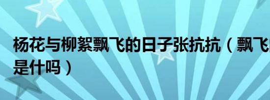 杨花与柳絮飘飞的日子张抗抗（飘飞的近义词是什吗）