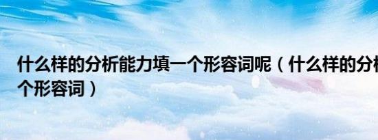 什么样的分析能力填一个形容词呢（什么样的分析能力填一个形容词）