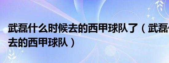 武磊什么时候去的西甲球队了（武磊什么时候去的西甲球队）