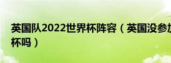 英国队2022世界杯阵容（英国没参加过世界杯吗）