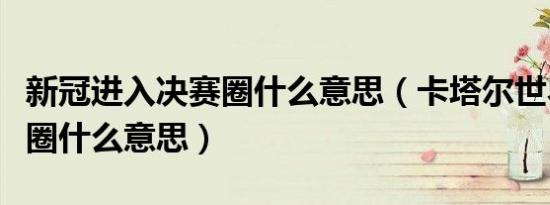 新冠进入决赛圈什么意思（卡塔尔世界杯决赛圈什么意思）