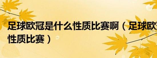 足球欧冠是什么性质比赛啊（足球欧冠是什么性质比赛）