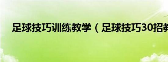 足球技巧训练教学（足球技巧30招教学）