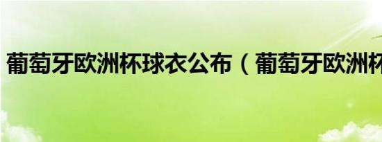 葡萄牙欧洲杯球衣公布（葡萄牙欧洲杯球衣）