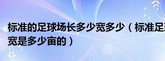 标准的足球场长多少宽多少（标准足球场的长宽是多少亩的）