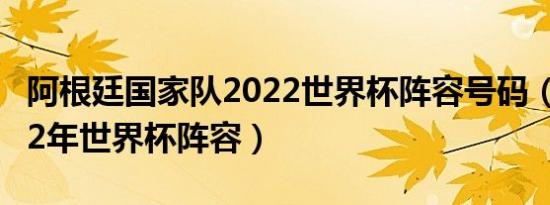 阿根廷国家队2022世界杯阵容号码（阿根廷22年世界杯阵容）