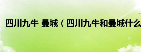 四川九牛 曼城（四川九牛和曼城什么关系）