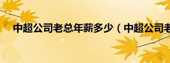 中超公司老总年薪多少（中超公司老总）