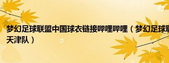 梦幻足球联盟中国球衣链接哔哩哔哩（梦幻足球联盟球衣url天津队）