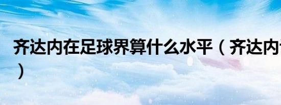 齐达内在足球界算什么水平（齐达内评价武磊）