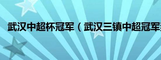 武汉中超杯冠军（武汉三镇中超冠军奖金）