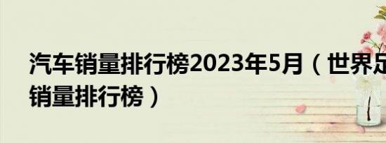 汽车销量排行榜2023年5月（世界足球球衣销量排行榜）