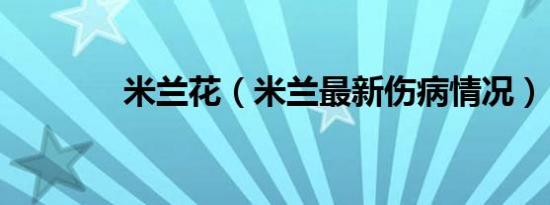 米兰花（米兰最新伤病情况）