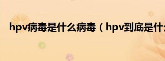 hpv病毒是什么病毒（hpv到底是什么呢）