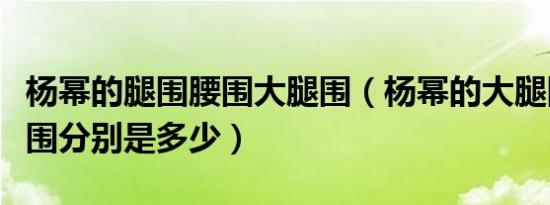 杨幂的腿围腰围大腿围（杨幂的大腿围和小腿围分别是多少）