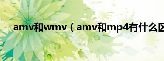 amv和wmv（amv和mp4有什么区别）