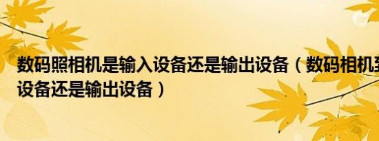 数码照相机是输入设备还是输出设备（数码相机到底是输入设备还是输出设备）