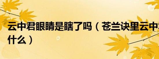 云中君眼睛是瞎了吗（苍兰诀里云中君真身是什么）