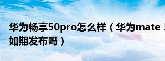 华为畅享50pro怎么样（华为mate 50pro能如期发布吗）