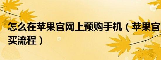 怎么在苹果官网上预购手机（苹果官网预售购买流程）