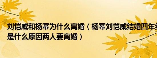 刘恺威和杨幂为什么离婚（杨幂刘恺威结婚四年终情断到底是什么原因两人要离婚）