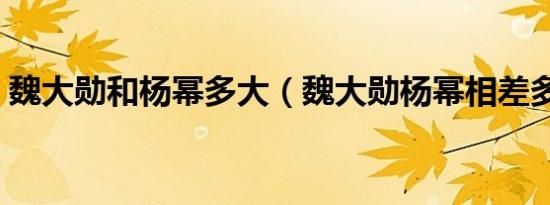 魏大勋和杨幂多大（魏大勋杨幂相差多少岁）