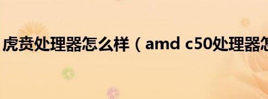 虎贲处理器怎么样（amd c50处理器怎么样）