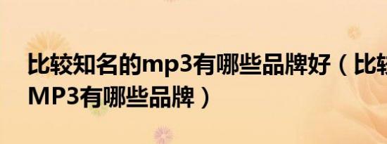 比较知名的mp3有哪些品牌好（比较知名的MP3有哪些品牌）