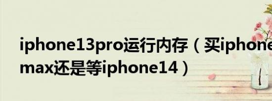 iphone13pro运行内存（买iphone13pro max还是等iphone14）