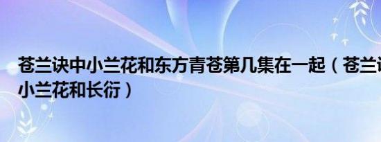 苍兰诀中小兰花和东方青苍第几集在一起（苍兰诀剧情介绍小兰花和长衍）