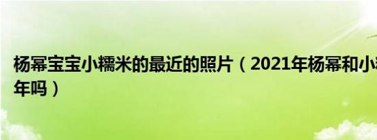 杨幂宝宝小糯米的最近的照片（2021年杨幂和小糯米一起过年吗）