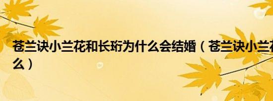 苍兰诀小兰花和长珩为什么会结婚（苍兰诀小兰花全名是什么）