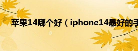 苹果14哪个好（iphone14最好的手机）