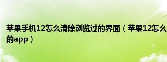 苹果手机12怎么清除浏览过的界面（苹果12怎么清除浏览过的app）