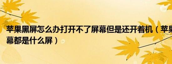 苹果黑屏怎么办打开不了屏幕但是还开着机（苹果12和13屏幕都是什么屏）