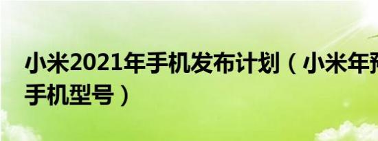 小米2021年手机发布计划（小米年预计发布手机型号）