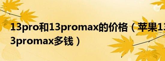 13pro和13promax的价格（苹果13pro和13promax多钱）